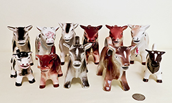 Herd 1 of Japanese short horn cow creamers