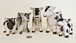 Herd 3 of Japanese short horn cow creamers