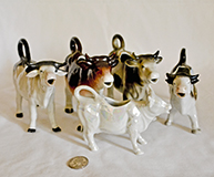 A small herd of German cow creamers